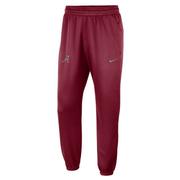  Alabama Nike Dri- Fit Spotlight Pants