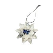  Mtsu Holiday Star Ornament