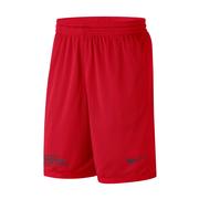  Georgia Nike Dri- Fit Shorts