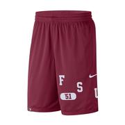  Florida State Nike Men's Dri- Fit Shorts