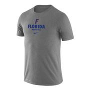  Florida Nike Legend Baseball Dri- Fit Tee