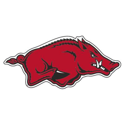 Arkansas Razorbacks Logo Decal 12