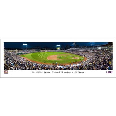 LSU 2023 College World Series National Champs 13.5
