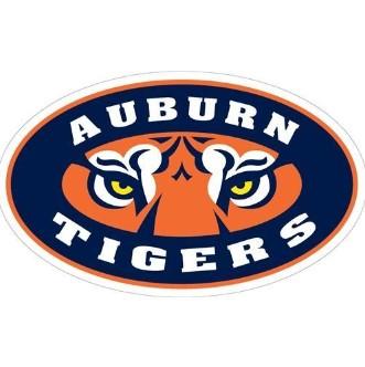 Auburn Decal Tigers Eyes Logo (3")
