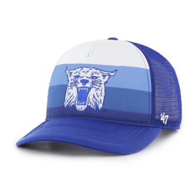Wildcats | Kentucky 47 ' Brand Clean- Up Hat | Alumni Hall