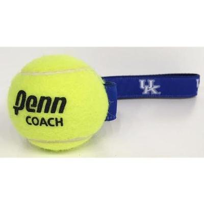 Kentucky Tennis Ball Pet Toy