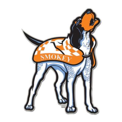 Tennessee Mascot Collector Enamel Pin