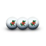  Florida Wincraft 3 Piece Golf Ball Set