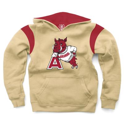 Arkansas Wes and Willy Vault YOUTH Fleece Hoodie