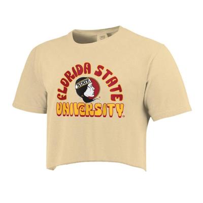 Florida State Groovy Arch Cropped Comfort Colors Tee