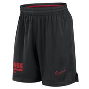  Georgia Nike Dri- Fit Sideline Mesh Shorts