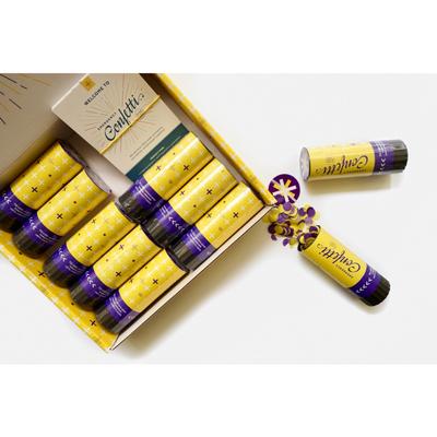 Yellow and Purple 10-Pack Confetti Poppers