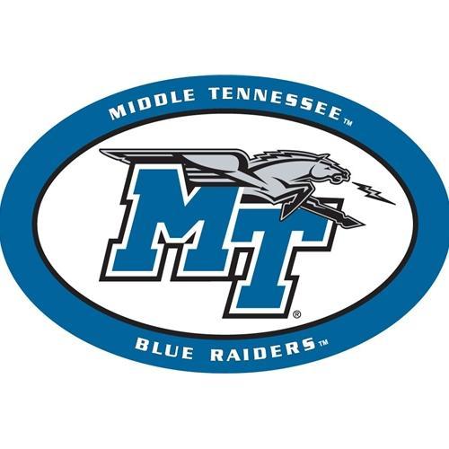 See Image on Model for Size Reference Middle Tennessee State Blue Raiders Earring Large Stud