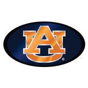  Auburn Domed Mirror Hitch Cover