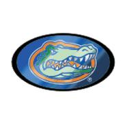  Florida Domed Mirror Hitch Cover