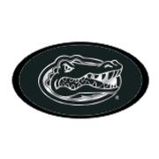  Florida Domed Mirror Hitch Cover