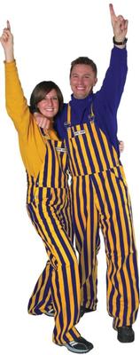Purple and Gold Adult Game Bibs Striped Overalls