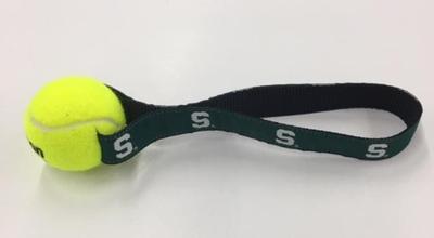Michigan State Tennis Ball Pet Toy