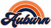  Auburn 4 
