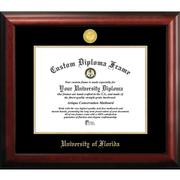  University Of Florida Satin Diploma Frame