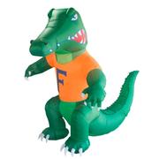  Florida Inflatable Mascot