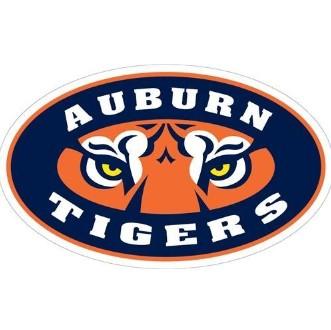 Auburn Magnet Tigers Eyes Logo 12