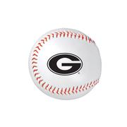  Georgia Baseball