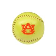  Auburn Softball