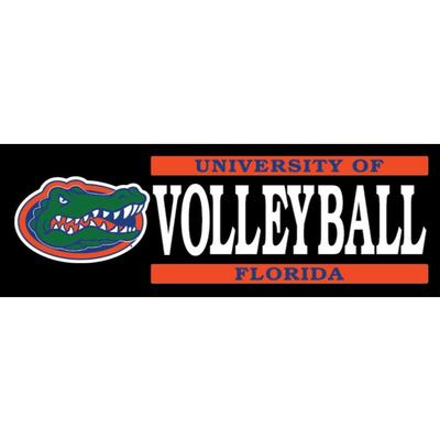 Florida Volleyball 6 x 2