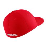 Georgia Nike Swoosh Raised Logo Flex Fit Hat
