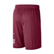Florida State Nike Men's Dri-Fit Shorts