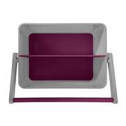 Mississippi State Tailgate Caddy